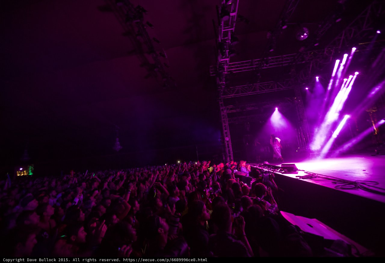 Concertgoers Bask in Purple Glow