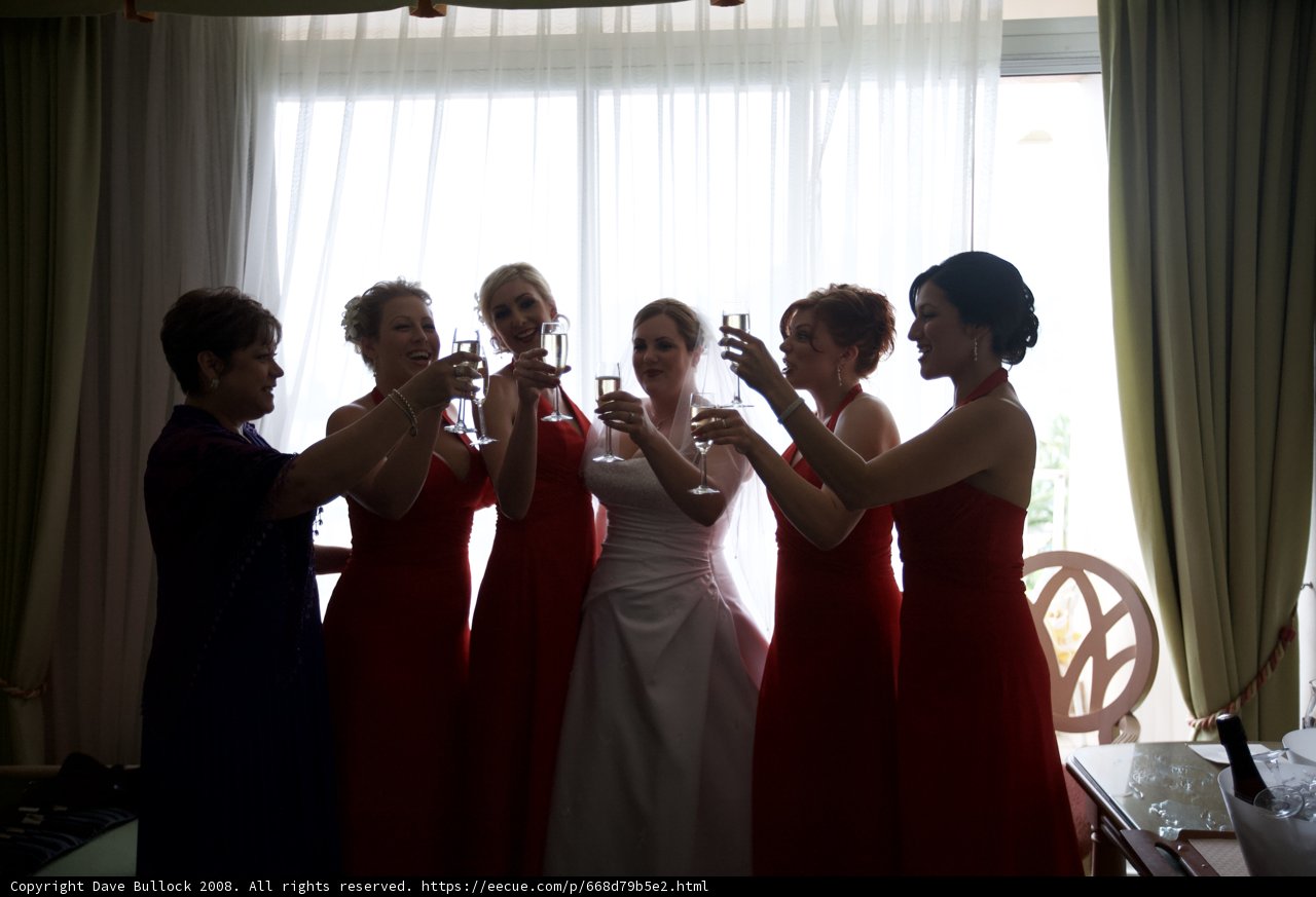 Red Dress Toast
