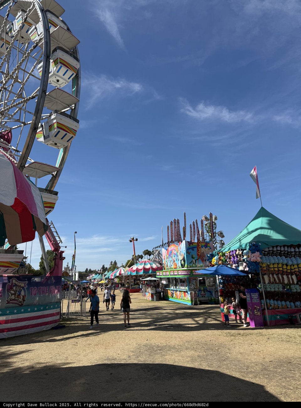 A Day at the Santa Rosa Fairgrounds
