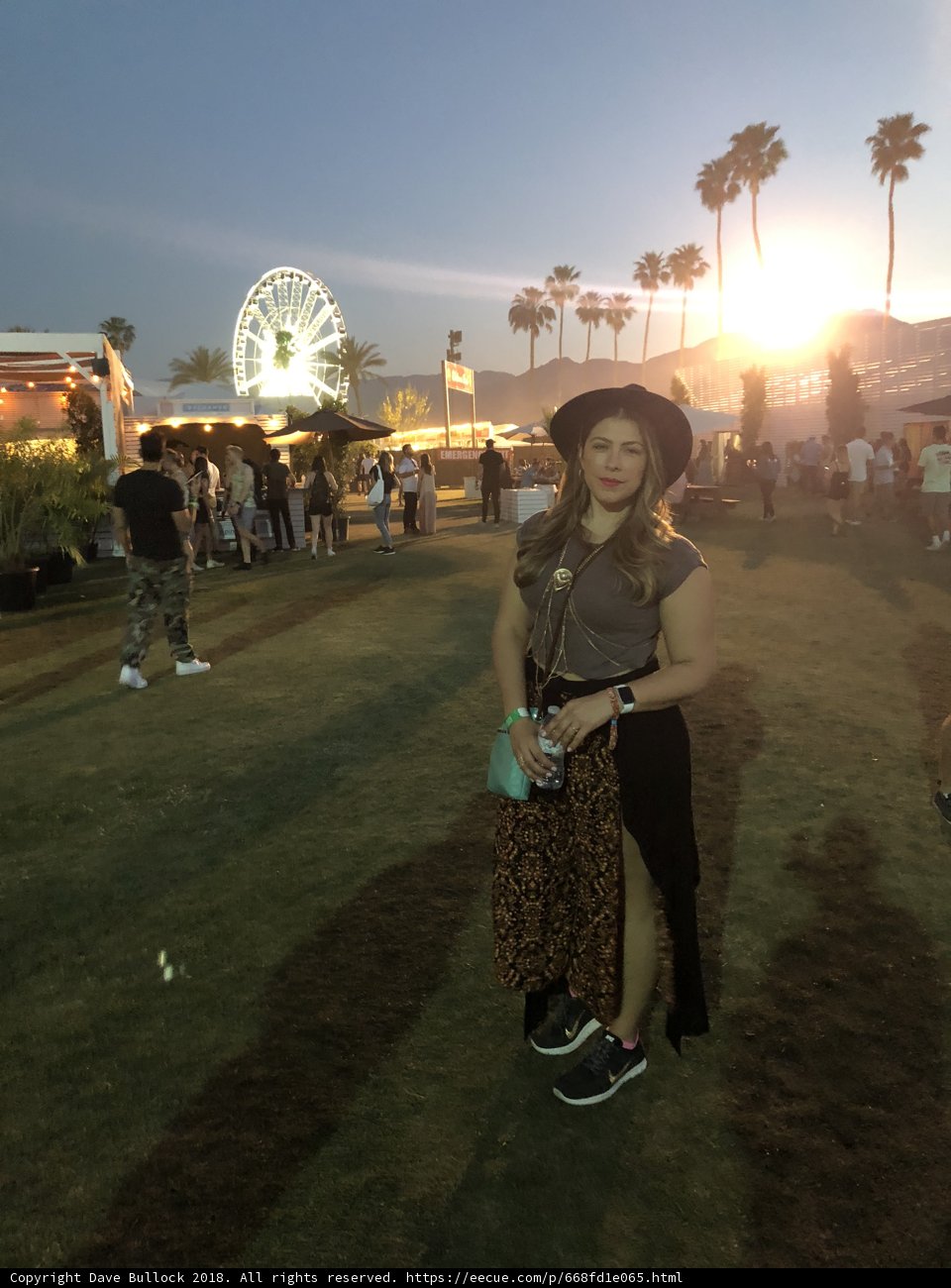 Ferris Wheel Fun