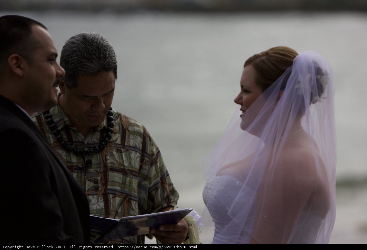Wedding on the Beach