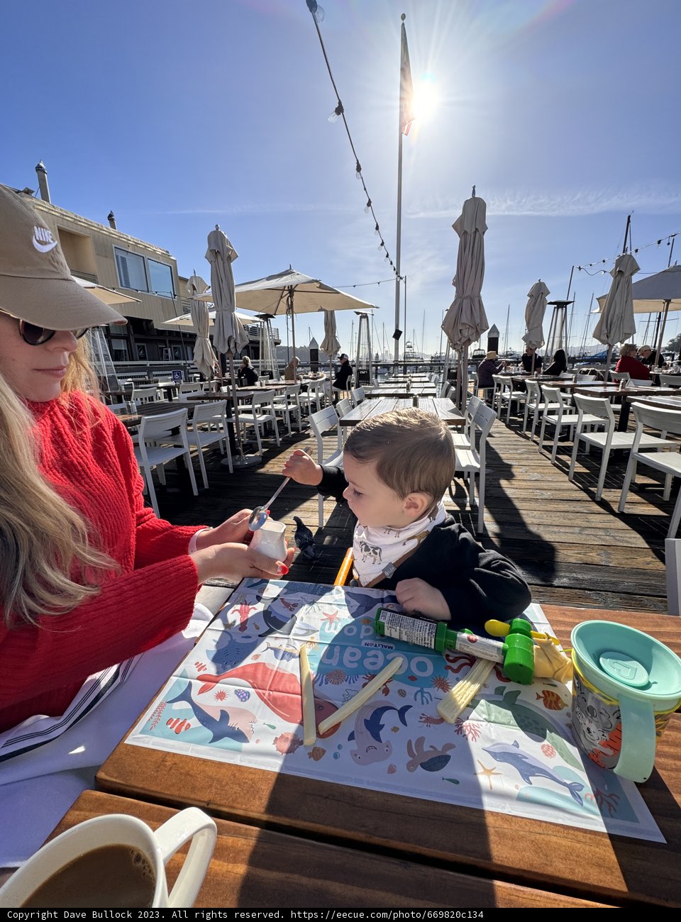 Savoring Serenity: A Maritime Meal in Belvedere Tiburon.