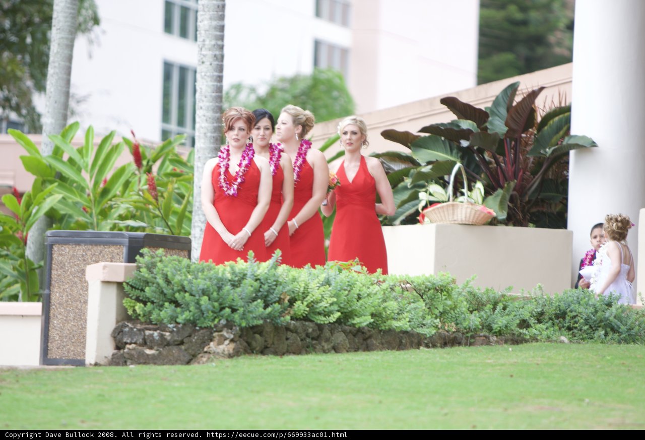 Red-Dressed Bridesmaids