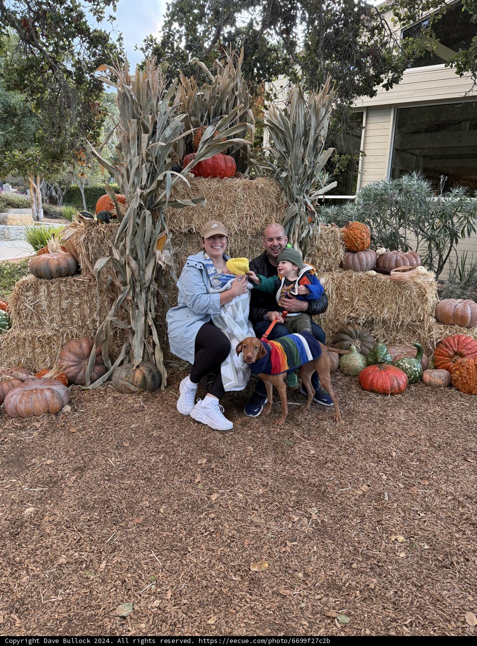 Harvest Smiles