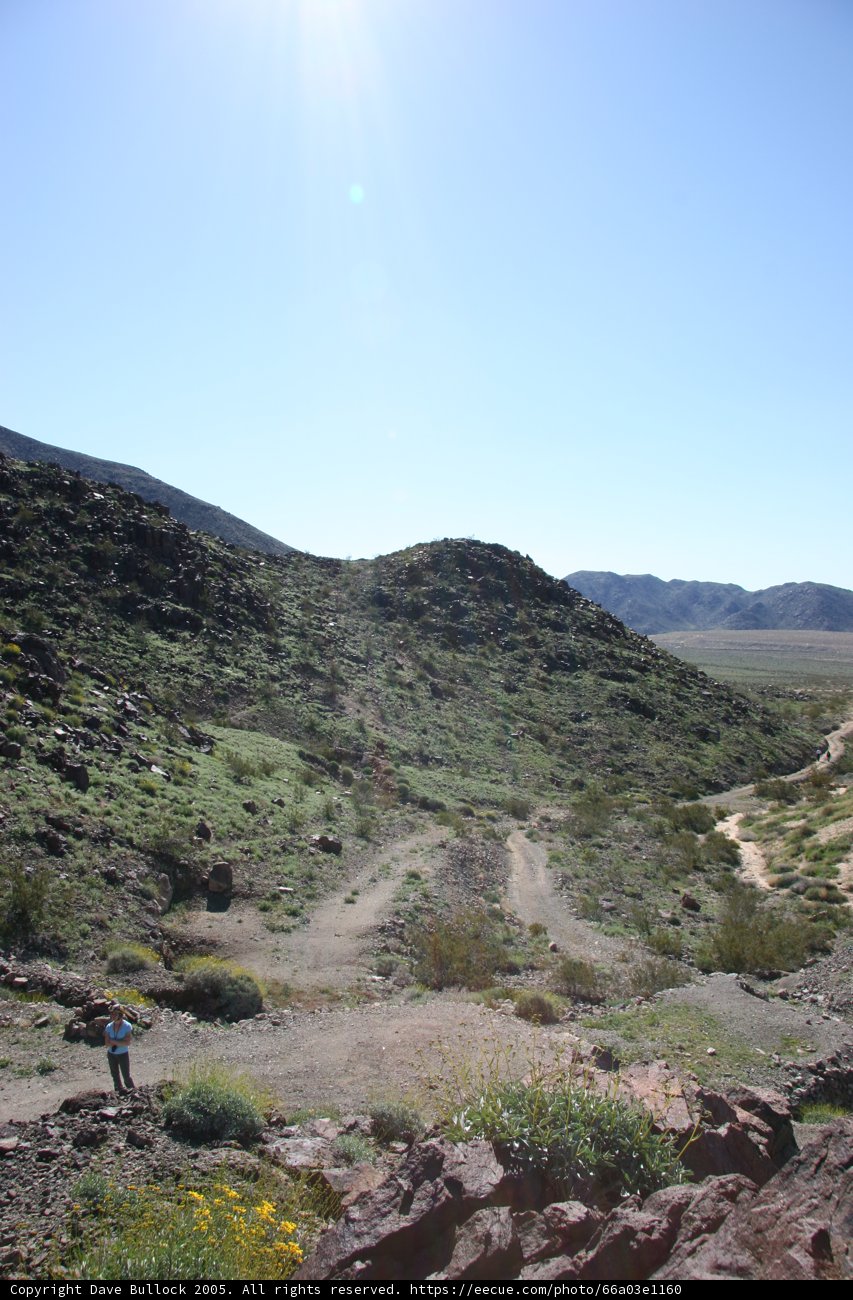 Desert Hiking Adventure