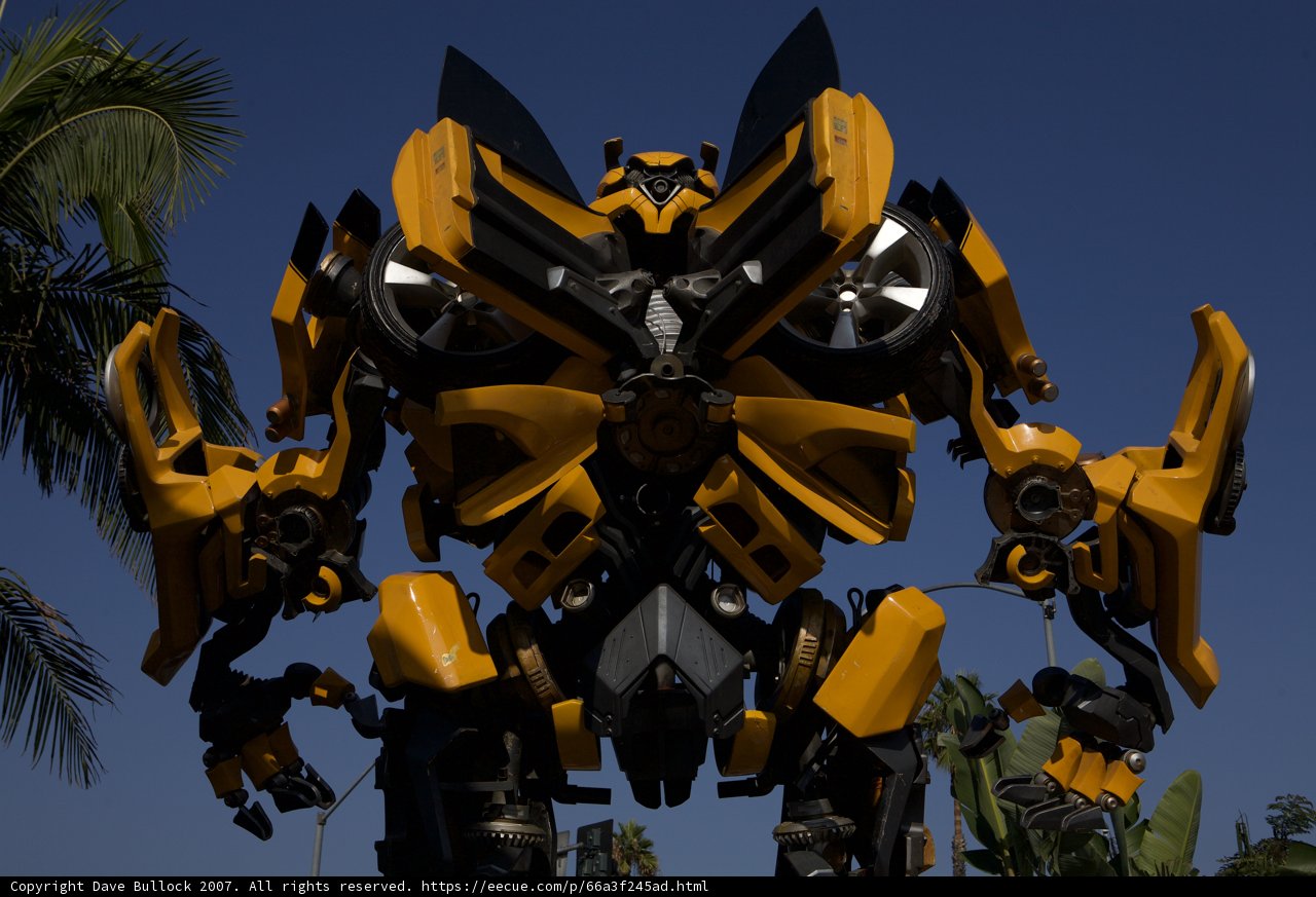 Bumblebee Robot Among Palm Trees