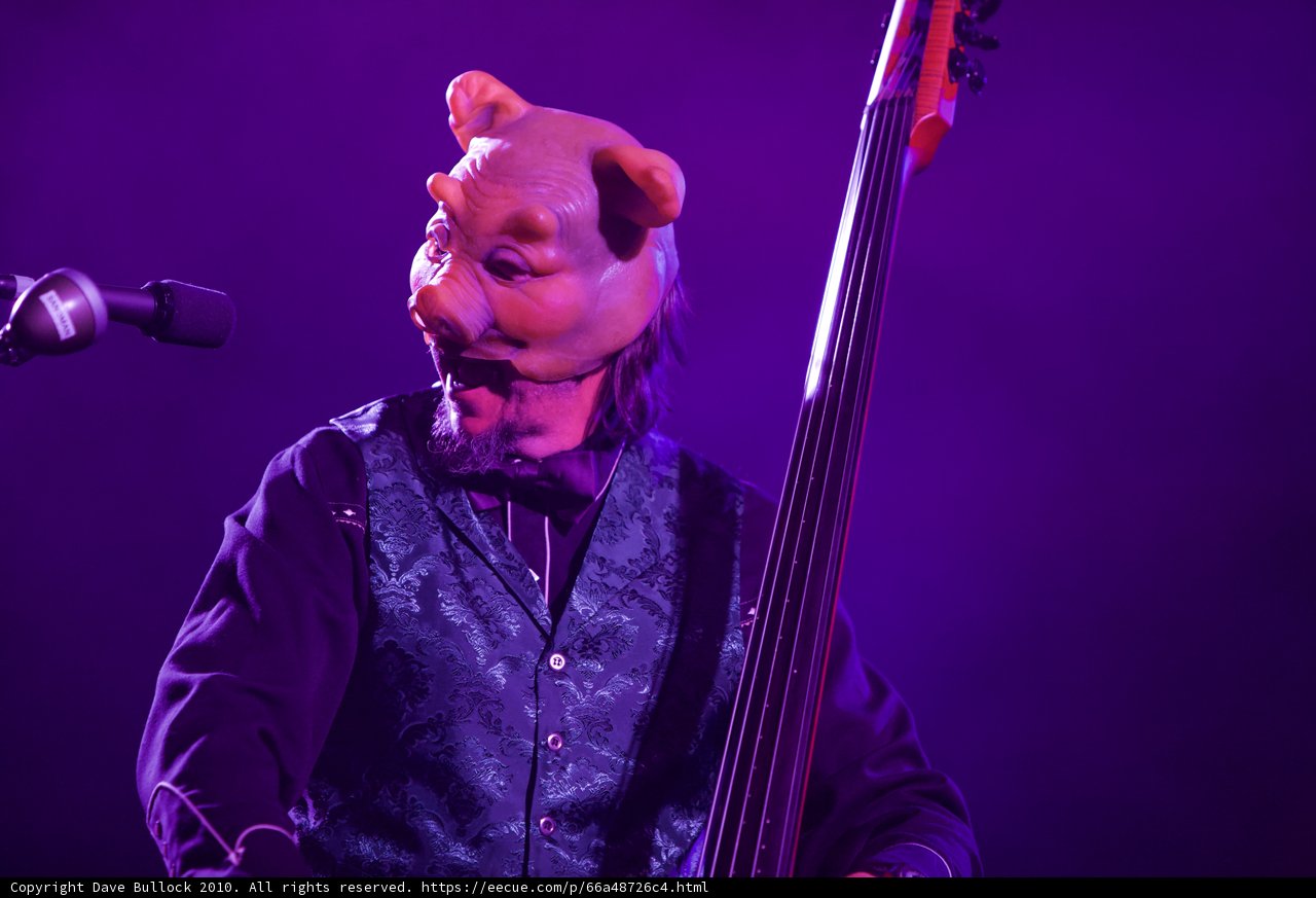 Pig Man on Bass