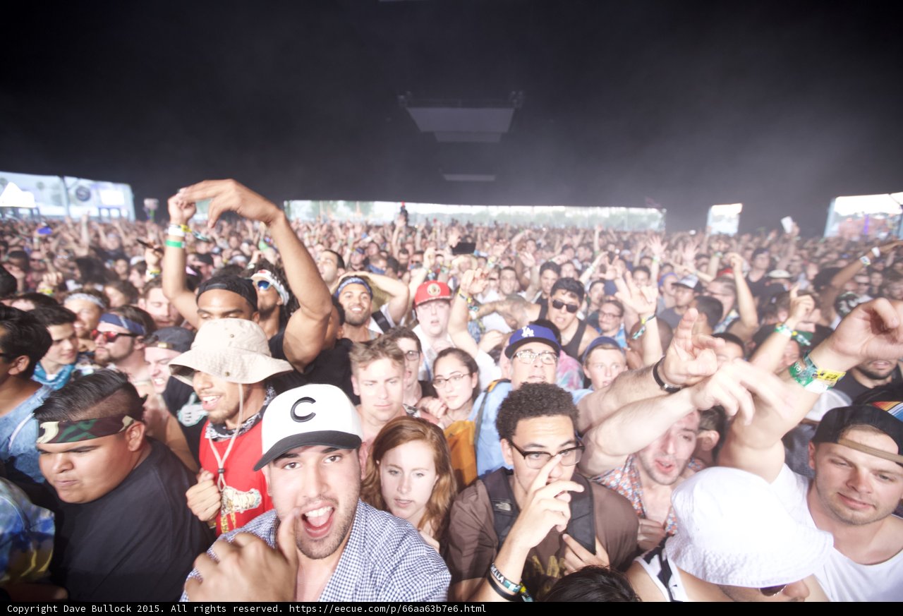 Energetic Crowd Daylight