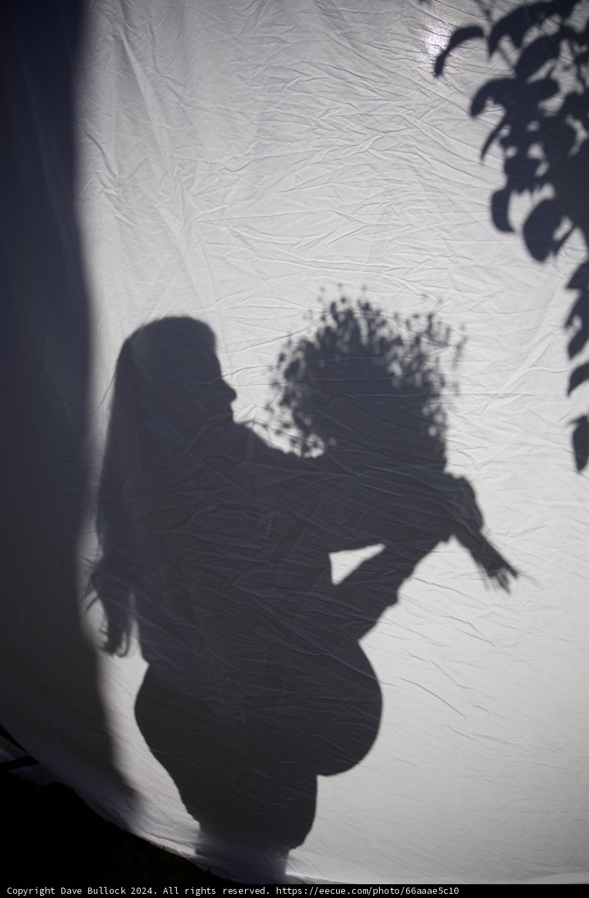 The Silhouette of New Beginnings
