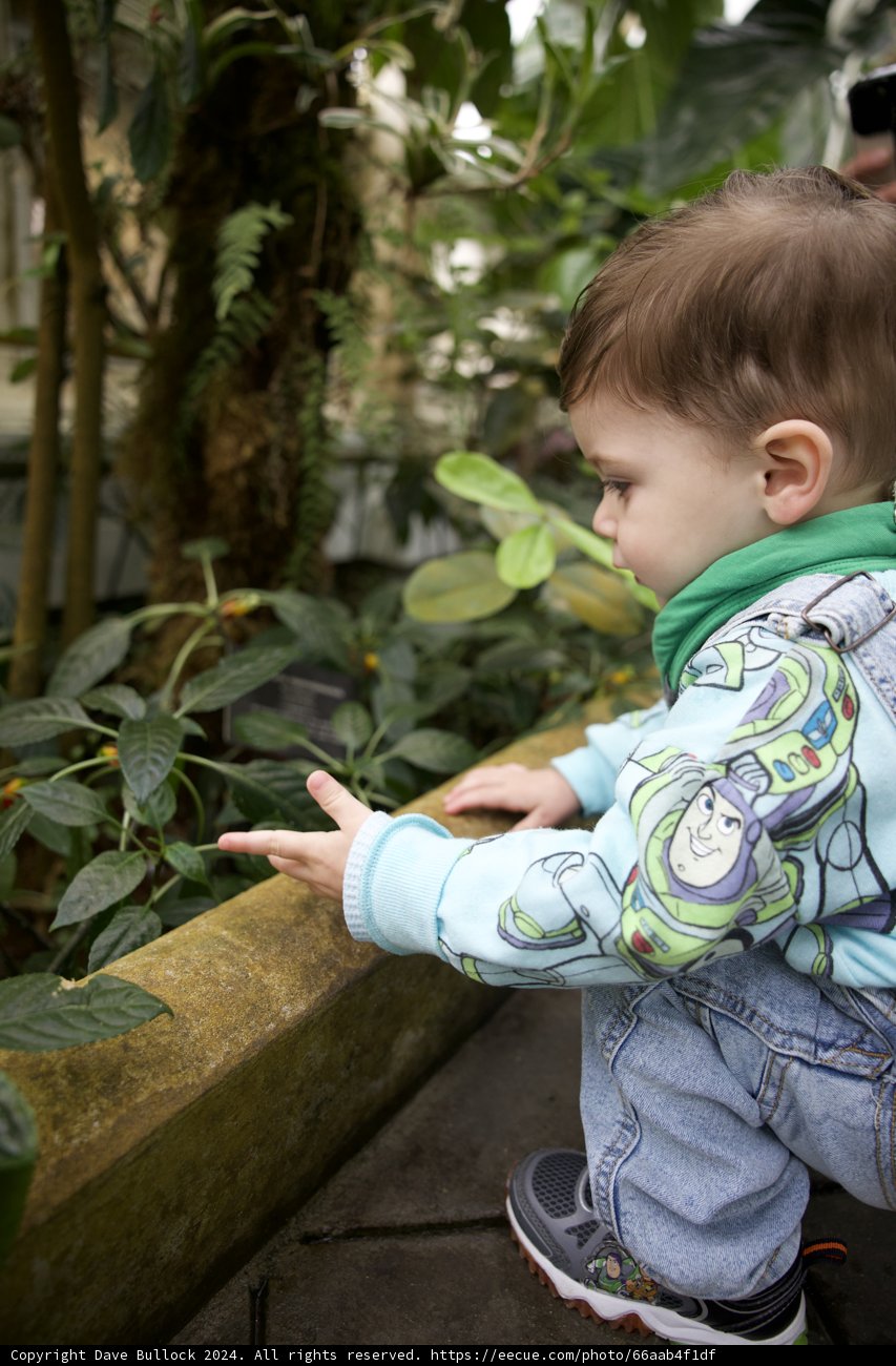 The Serenity of Childhood: A Day at Golden Gate Park