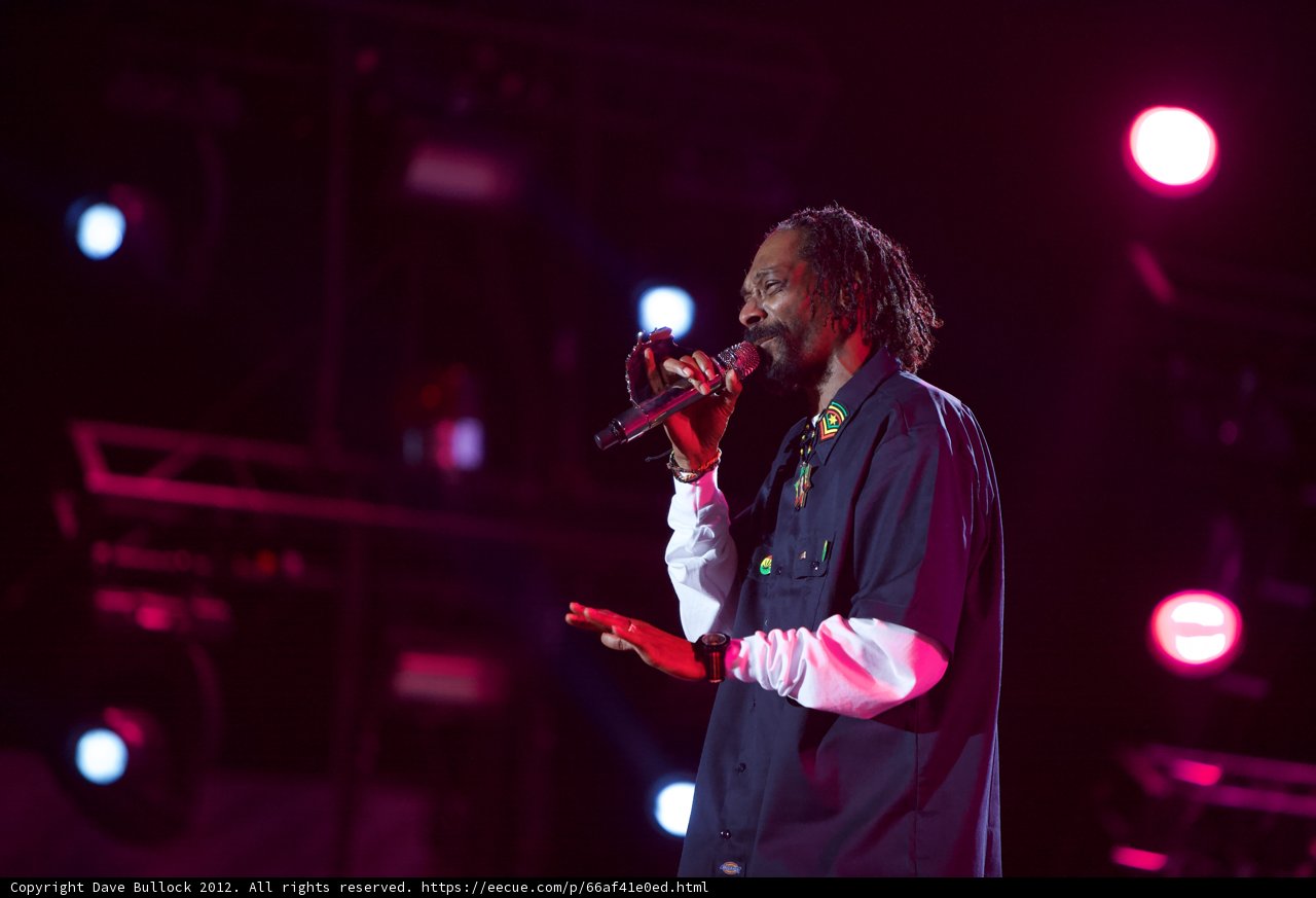 Snoop Dogg Takes Over Coachella with His Performance