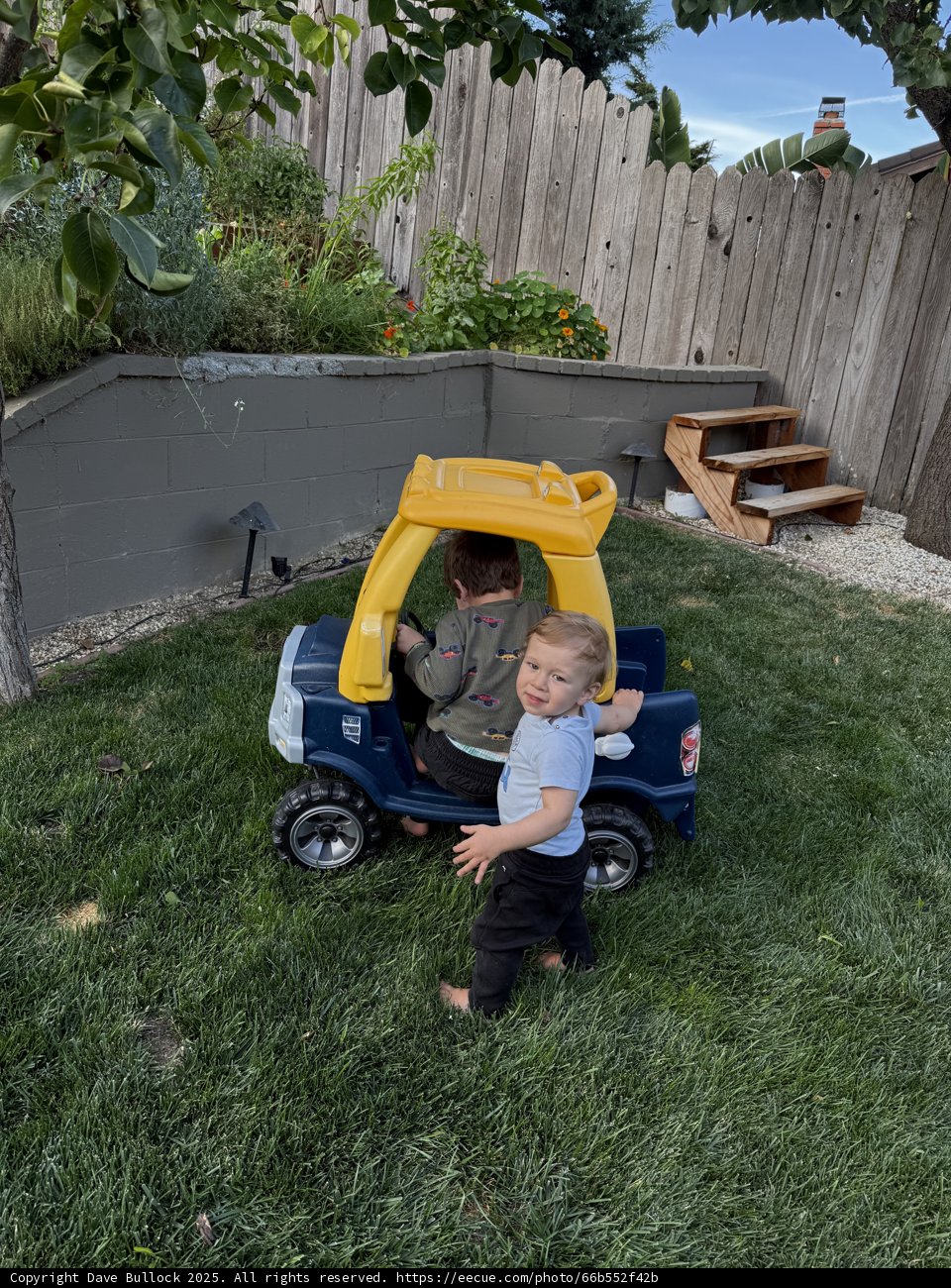 Backyard Adventures