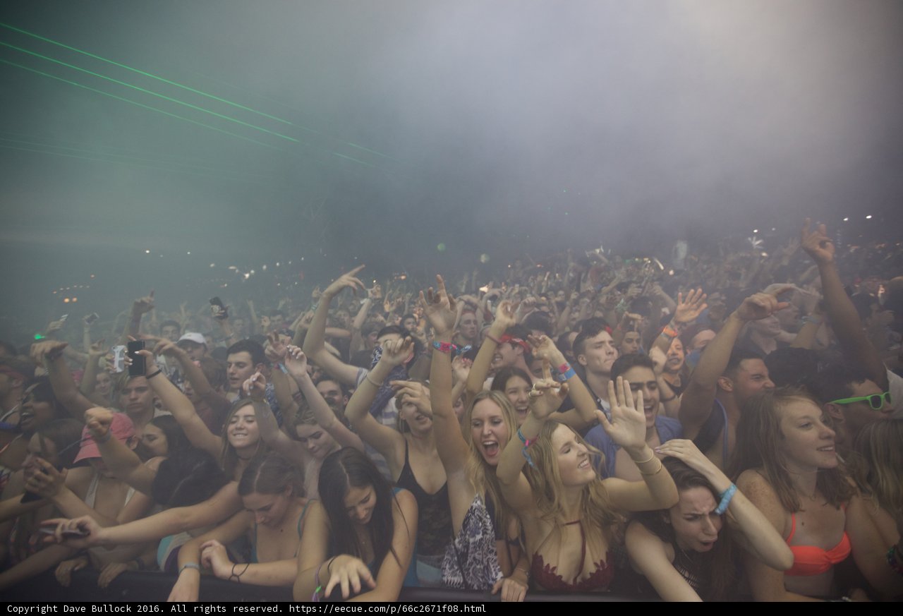 Hands Up at Coachella