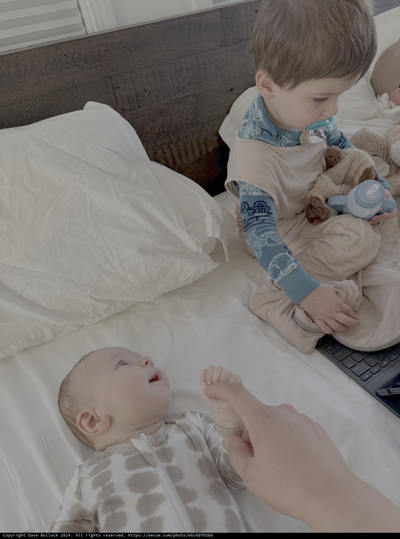 Big Brother Meeting Baby Sibling at Home