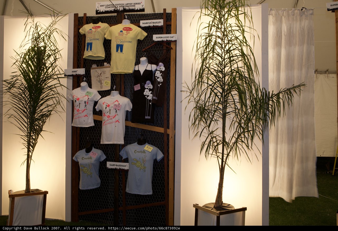 T-Shirt Display Under the Palm Tree
