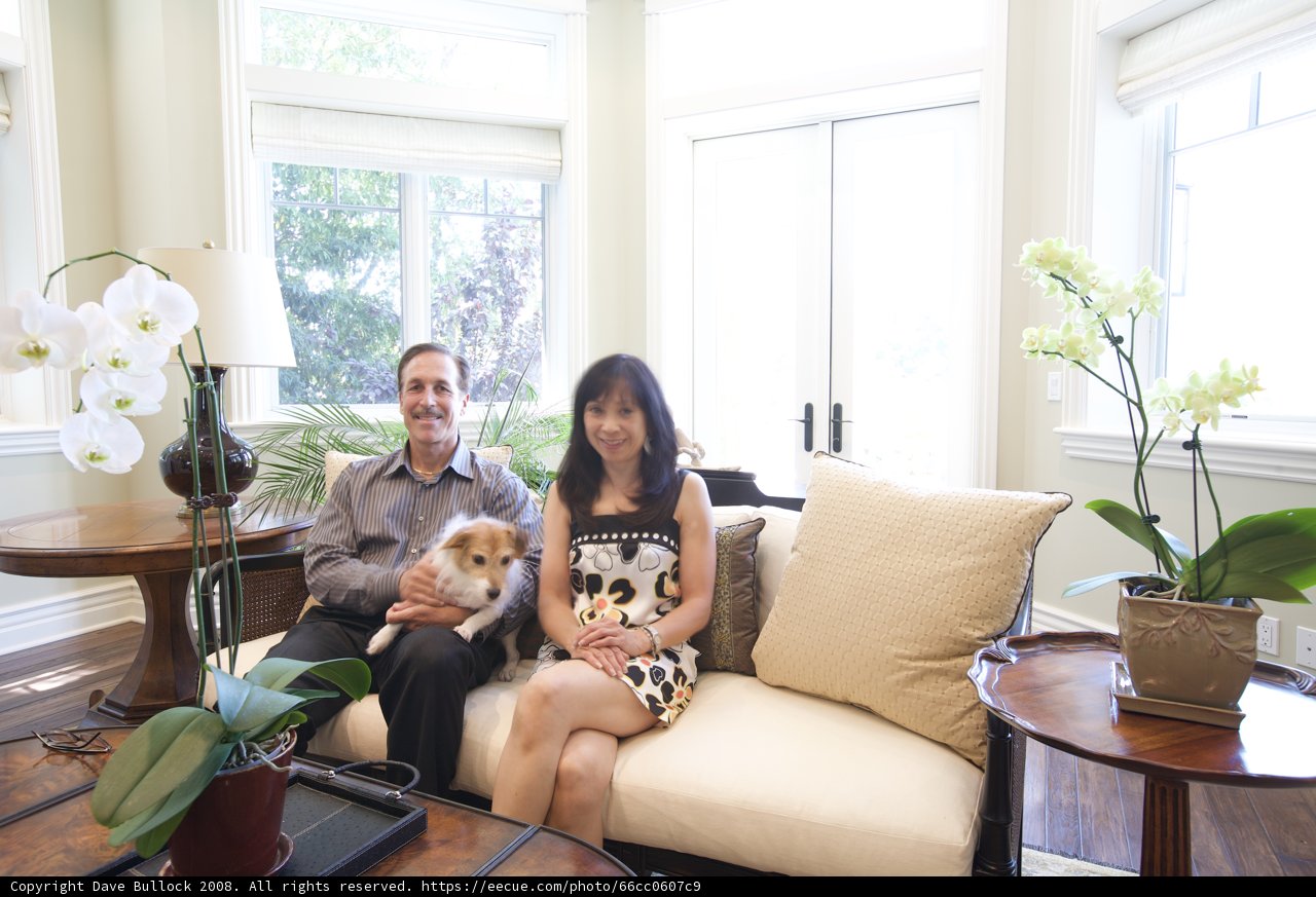 Cozy Living Room with Furry Companion