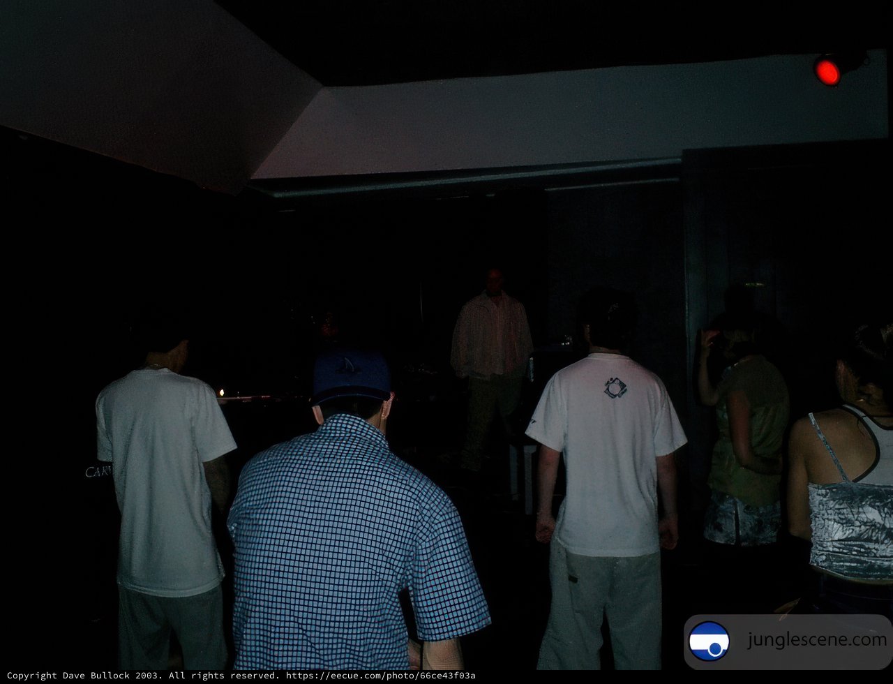 Nightclub Gathering