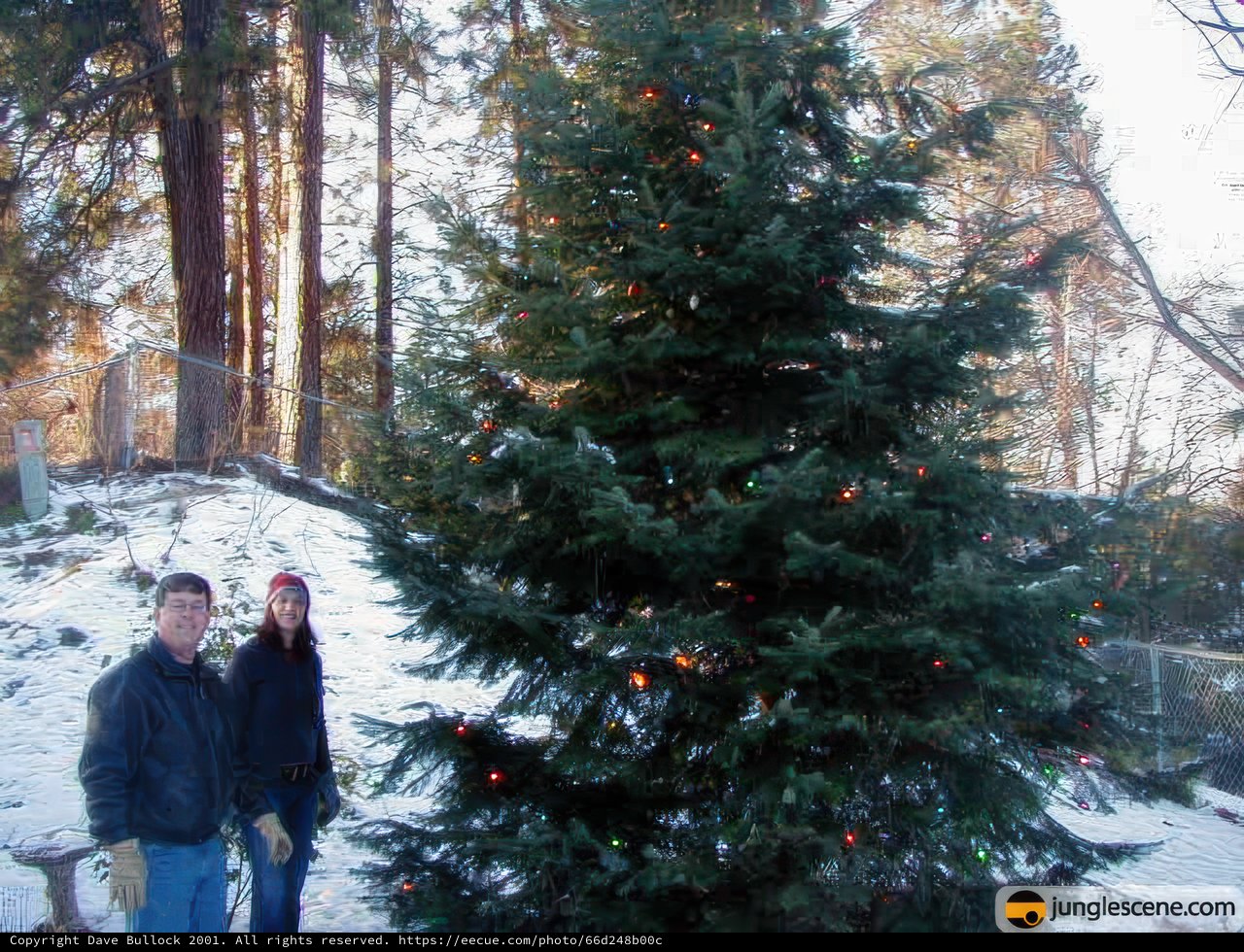 Christmas Love in the Snow