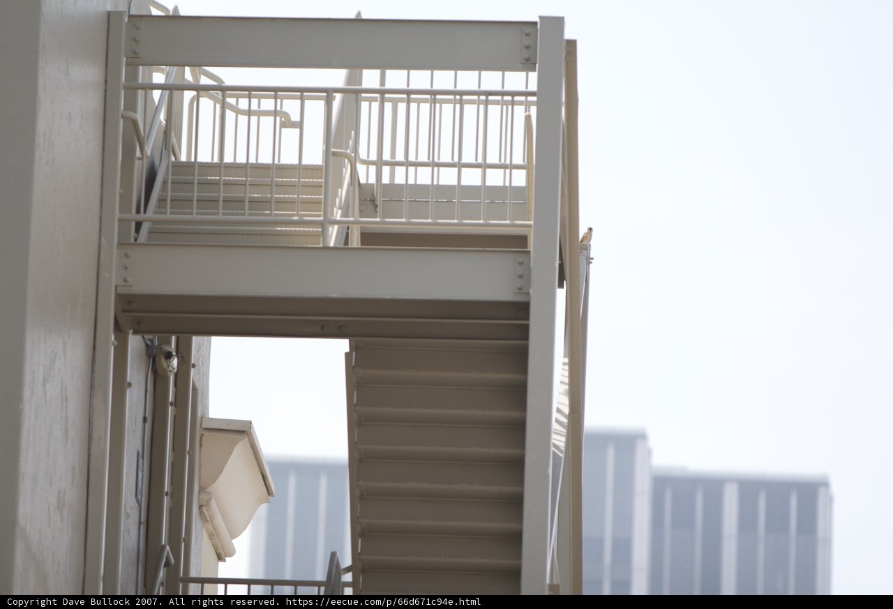 Urban Architecture at Star Wars Con