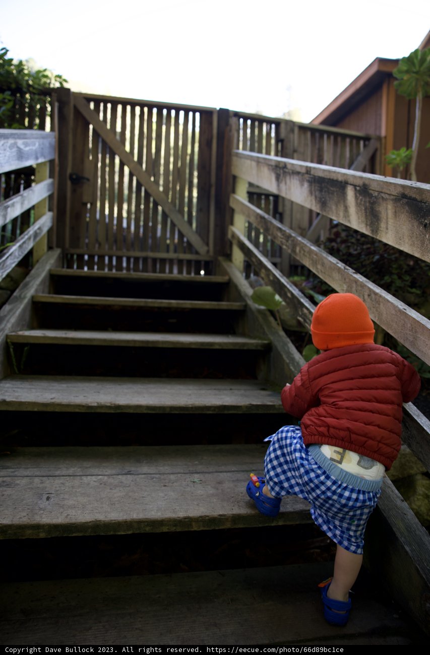 Adorable Explorer - Big Sur Adventure in Autumn