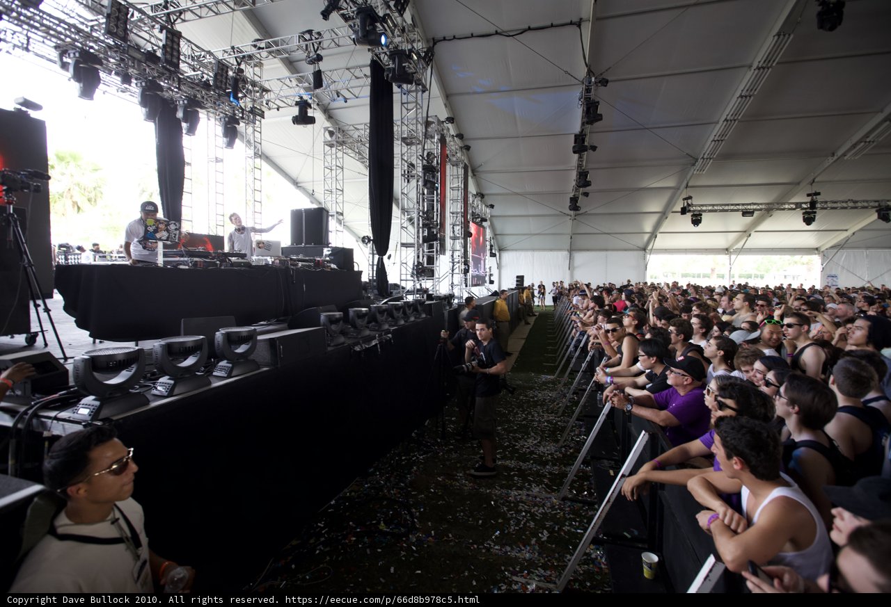 The Thrilling Crowd at Coachella Music Festival