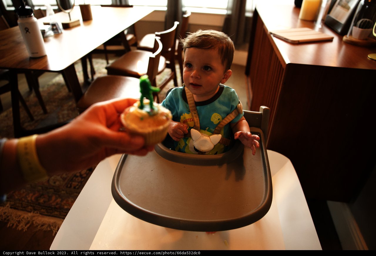 Wesley's First Birthday Bash: Cupcakes and High Chairs!