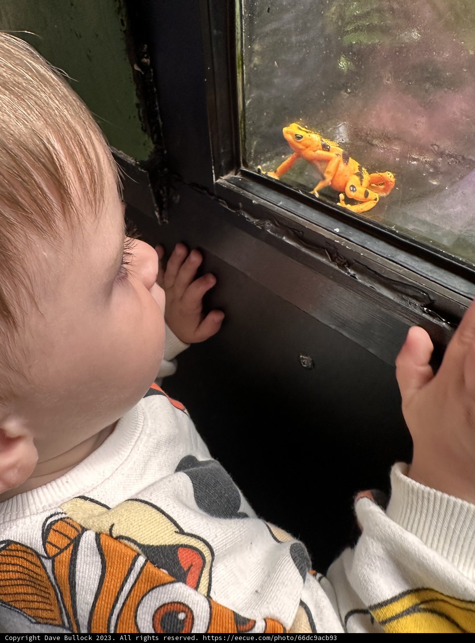 Little Explorer's Fascination