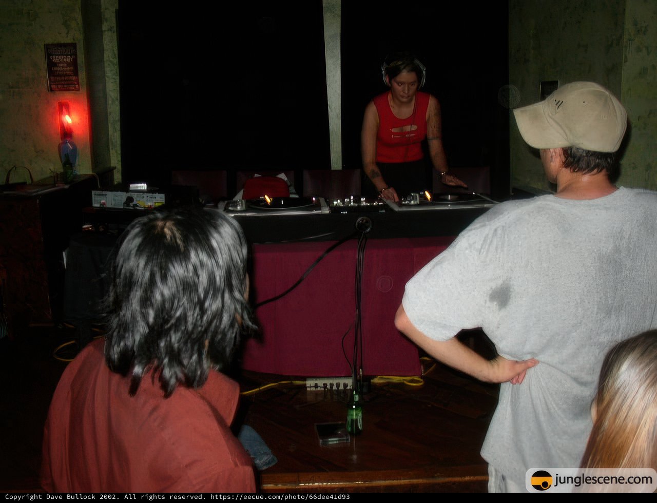 DJ Entertaining the Crowd