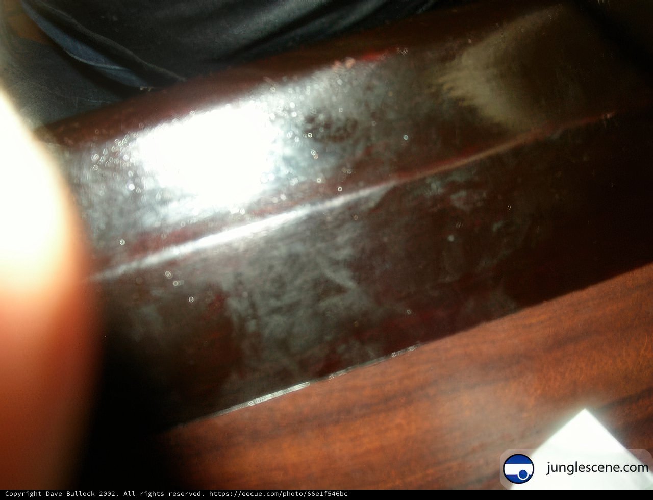 Reflections in Wood