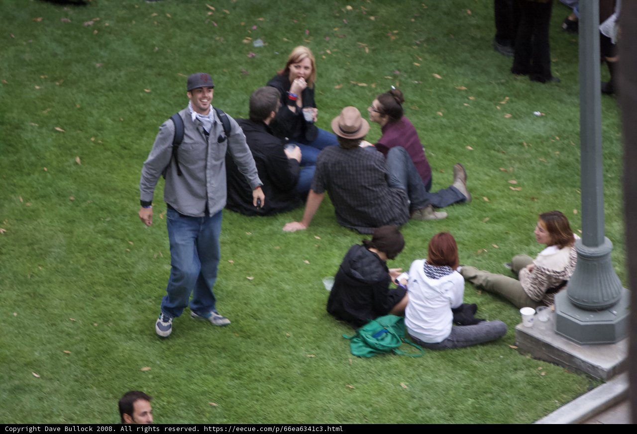 Grassy Gathering