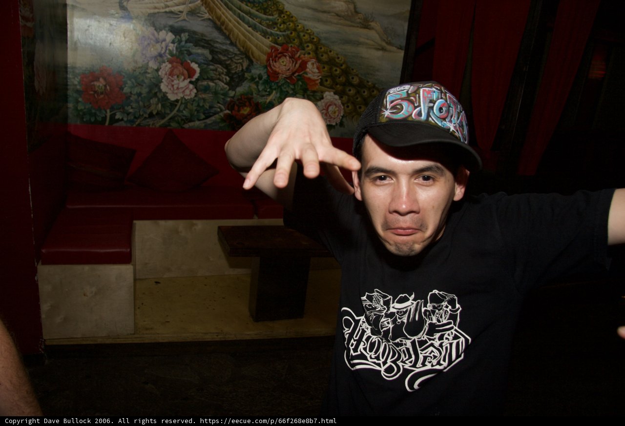Gesturing in Style