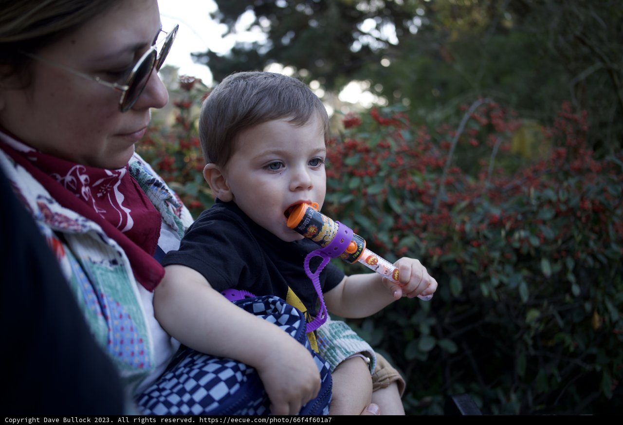 Multitasking Mama: A Day at the SF Zoo