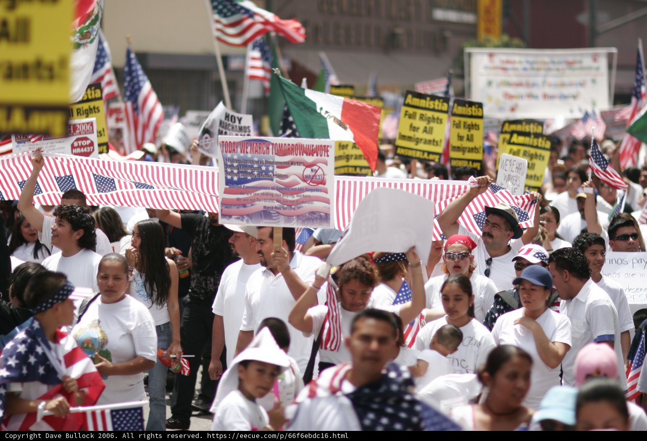 Flag-waving Protesters