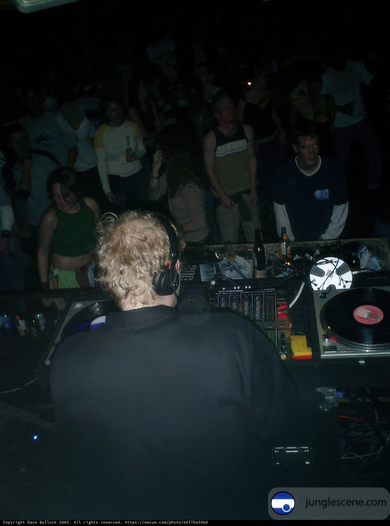DJ Entertaining the Crowd