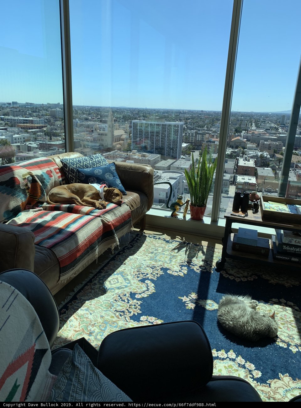 Comfortable Living Room with Furry Companion