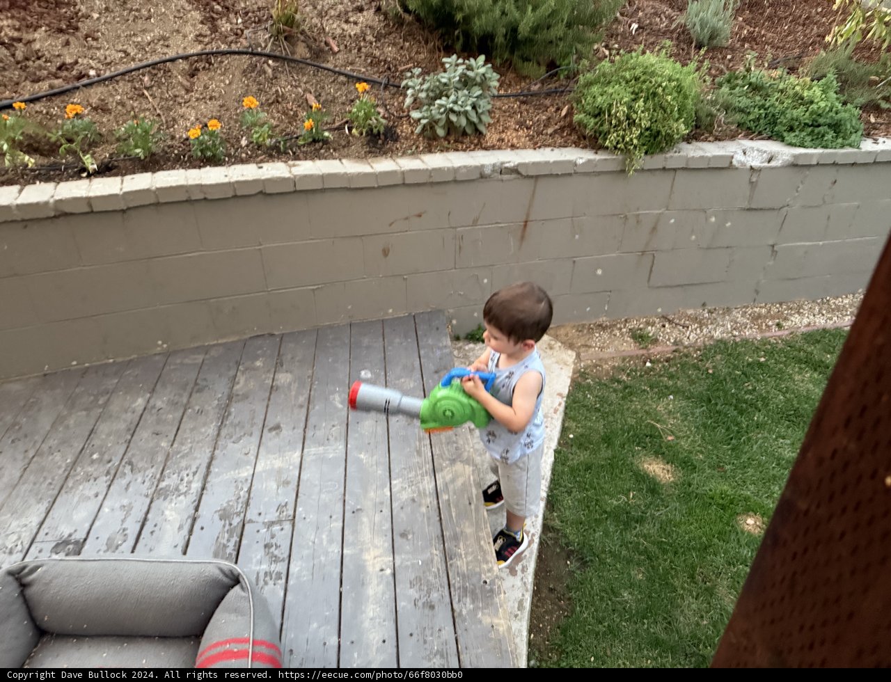 Backyard Explorer