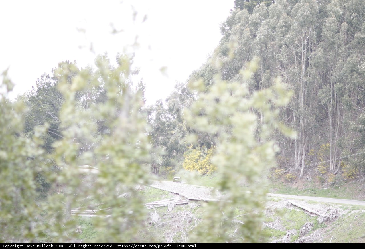 Riding Through the Dense Vegetation