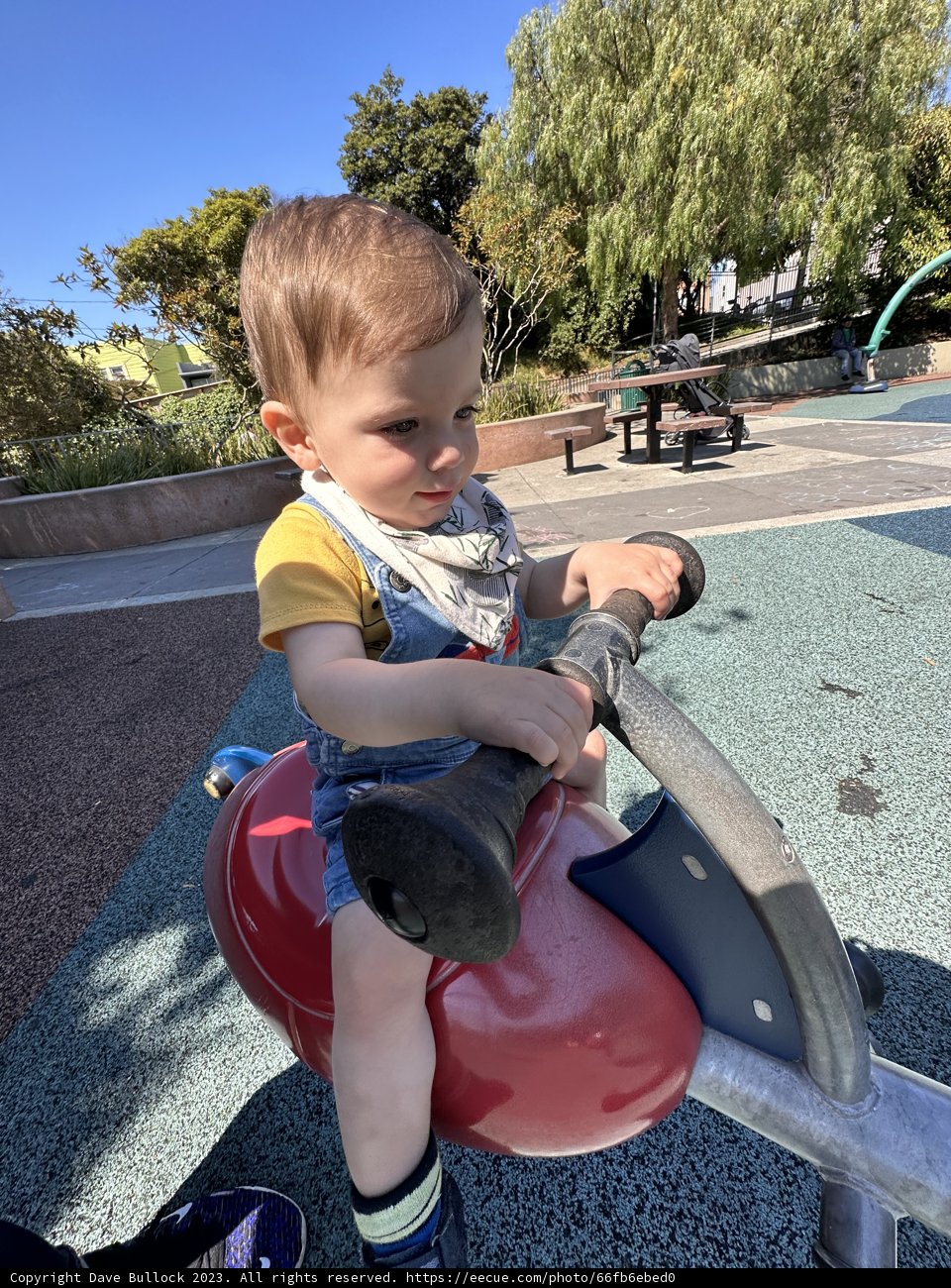 Fun in the Sun: Summer Playground Adventures