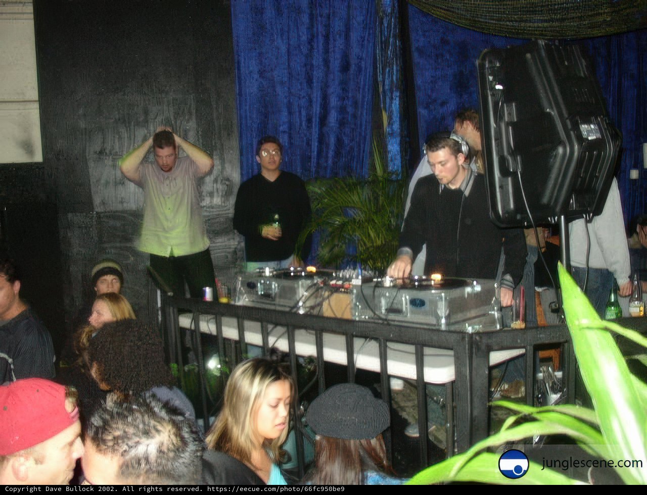 Party People Grooving to the Beats