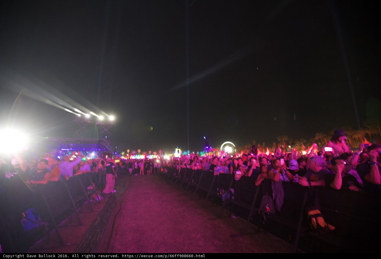 Night Lights and Crowd Delights