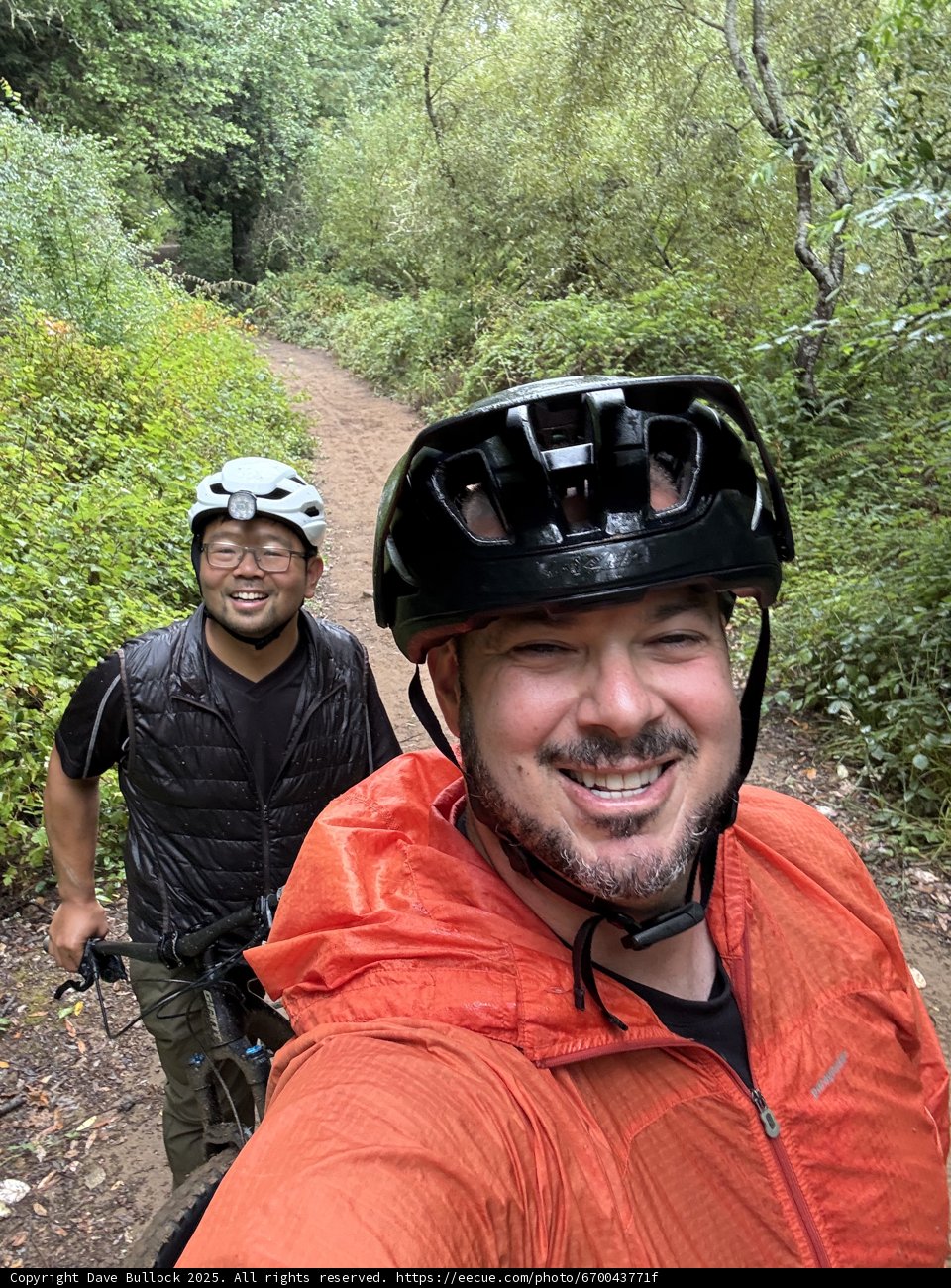 Adventure in the Redwoods