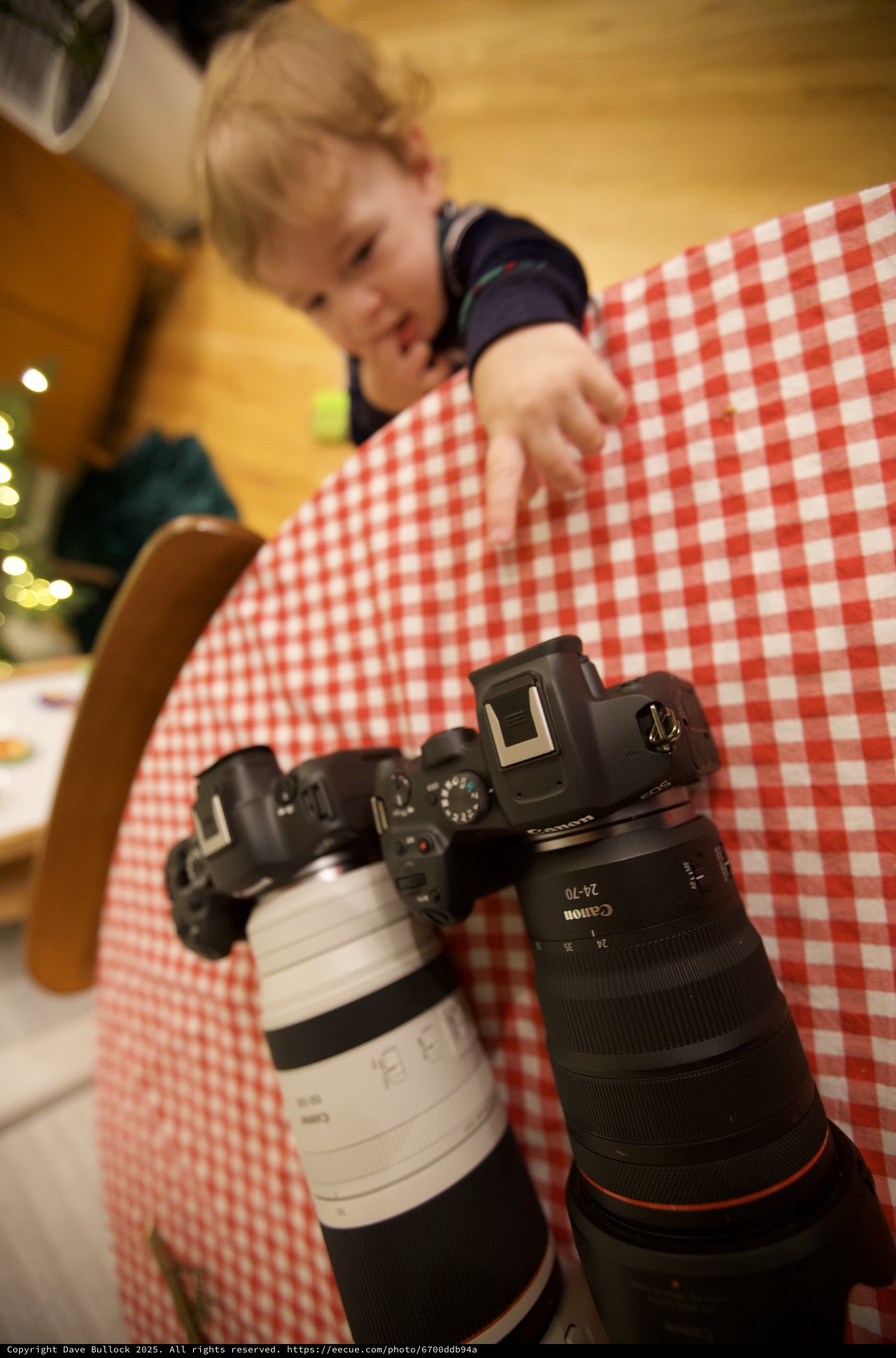 Young Photographer Reaches for Canon Camera on Checkered Table