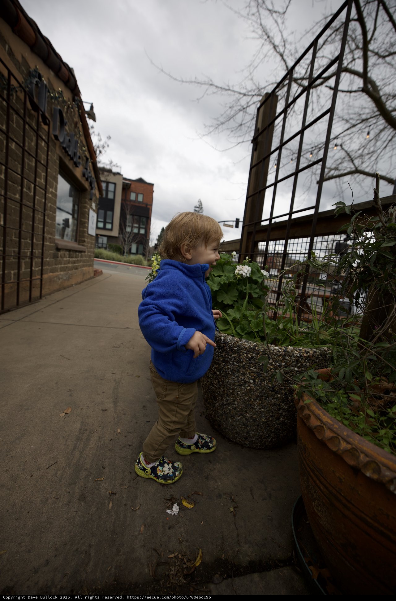 Toddler Exploring Urban Community Garden on Cloudy Day