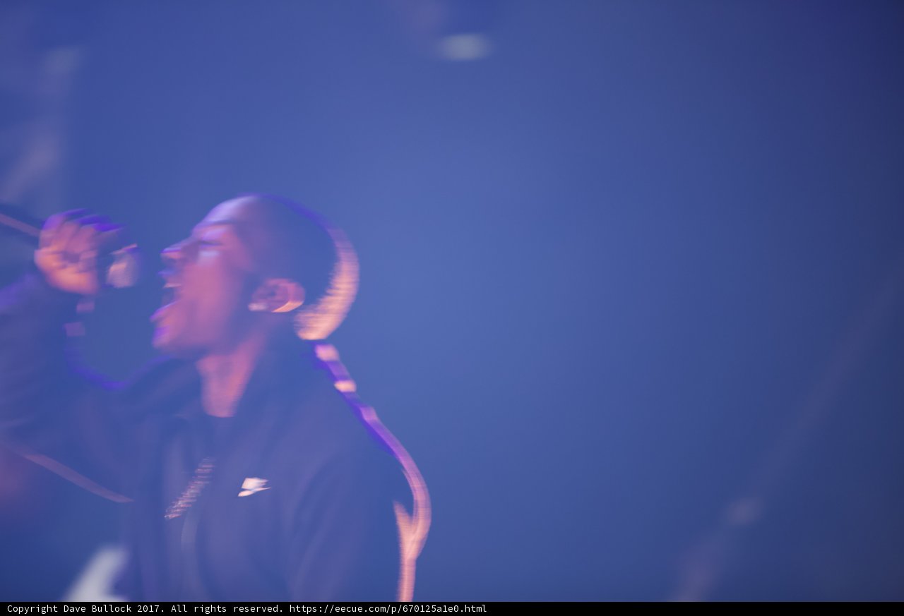 Rocking the Night Away at Coachella