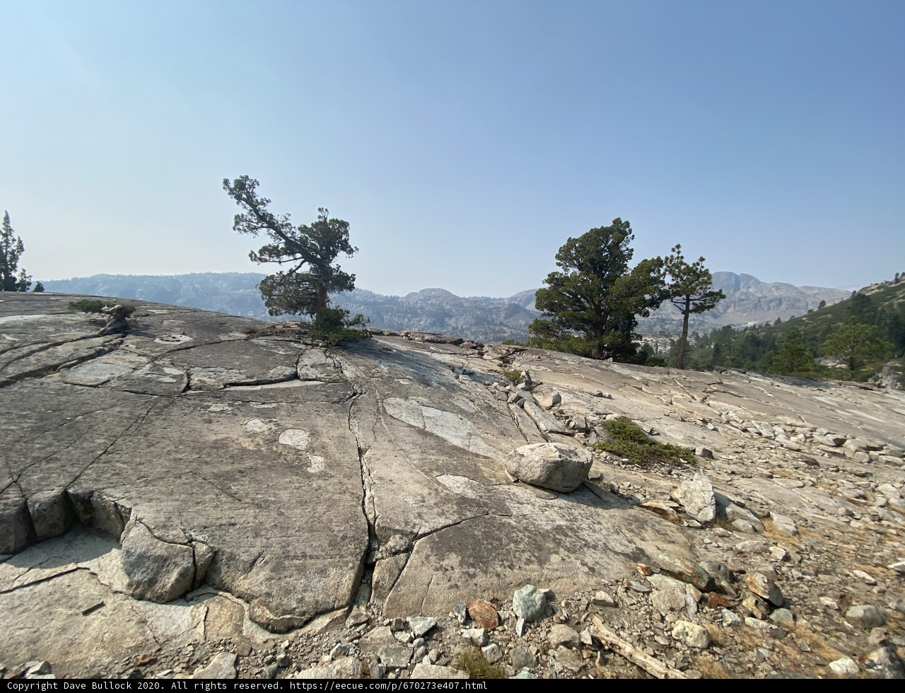 Solitude in the Wild