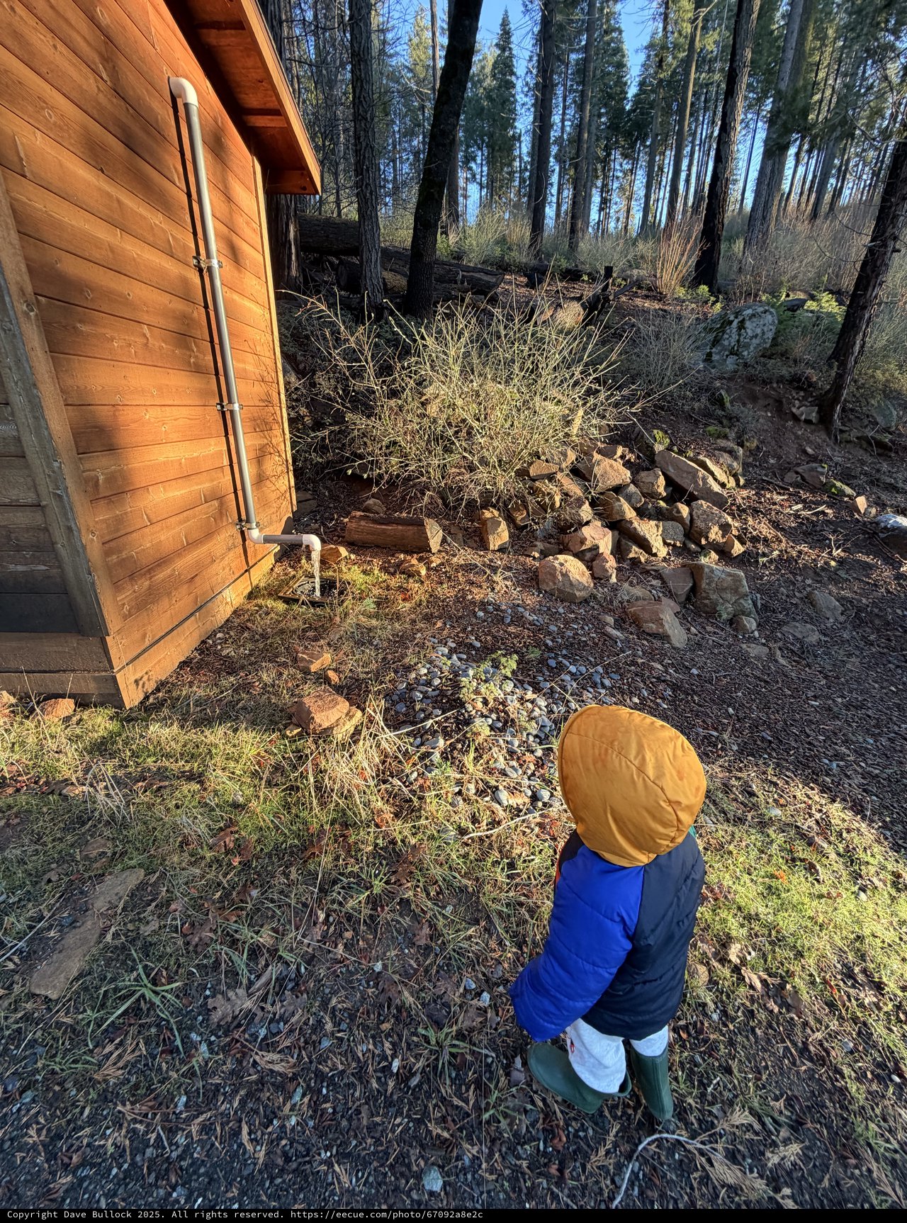Young Explorer Surveys Rustic Cabin in Winter Forest