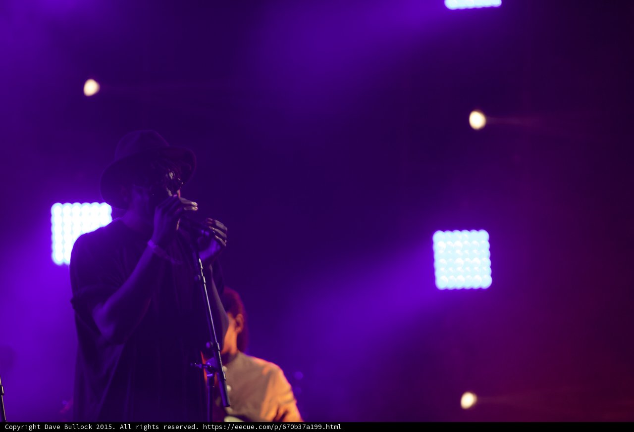 Solange Vocalist Hat Silhouette Singing Bassist LED Panels Purple