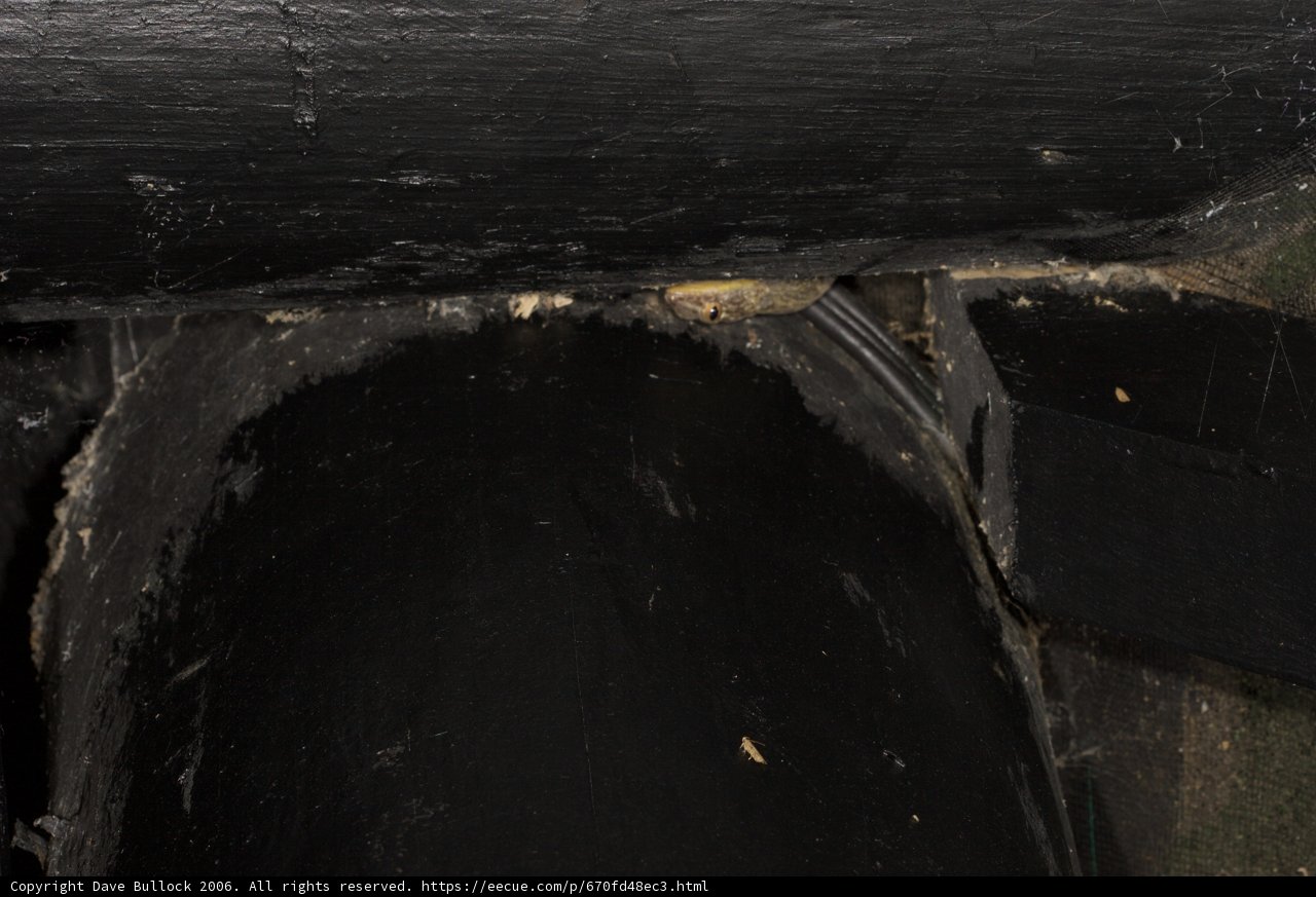 The Slate Tunnel