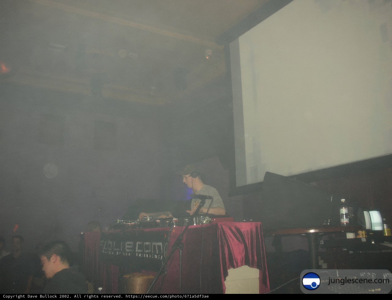DJ Entertains Crowd in Nature Cinema