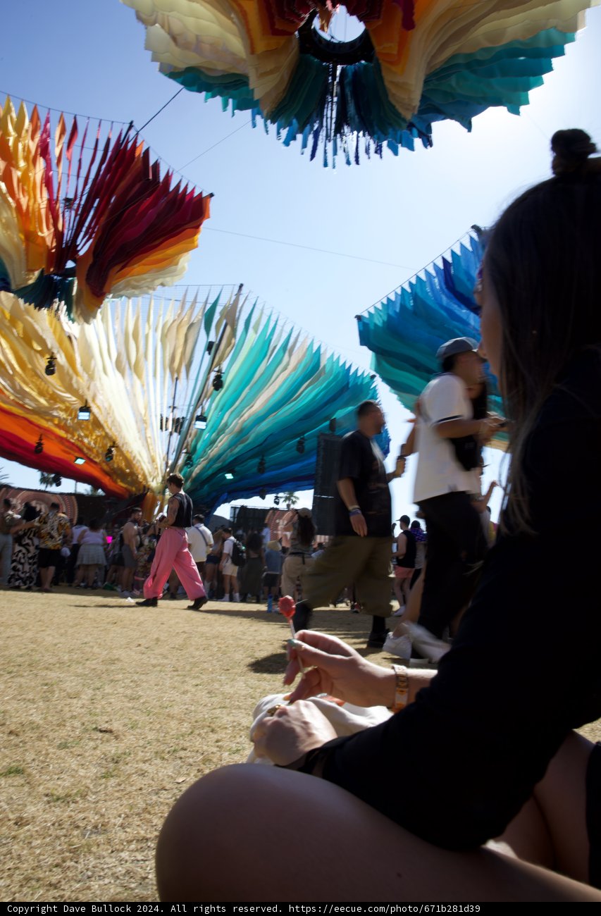 Colorful Canopies and Festival Vibes
